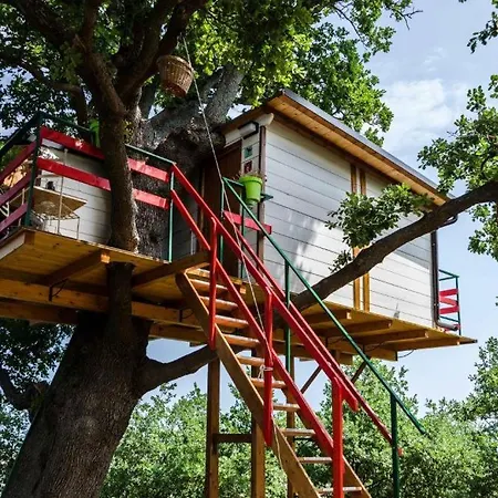 Casa Sull'albero