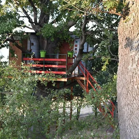 Feriehus Casa Sull'albero