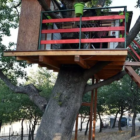 Feriehus Casa Sull'albero *