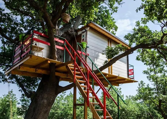 Casa Sull'albero