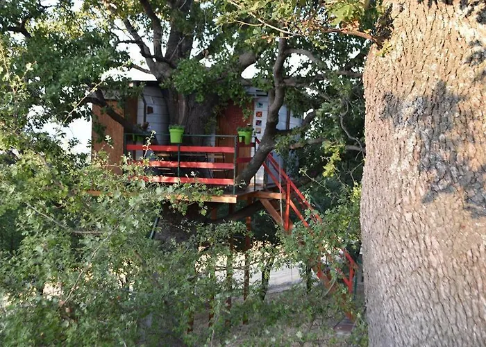 Tatil Evi Casa Sull'albero